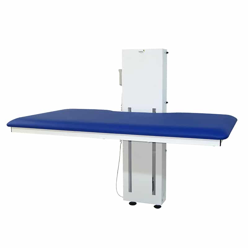 ANA Nursing and Care Table